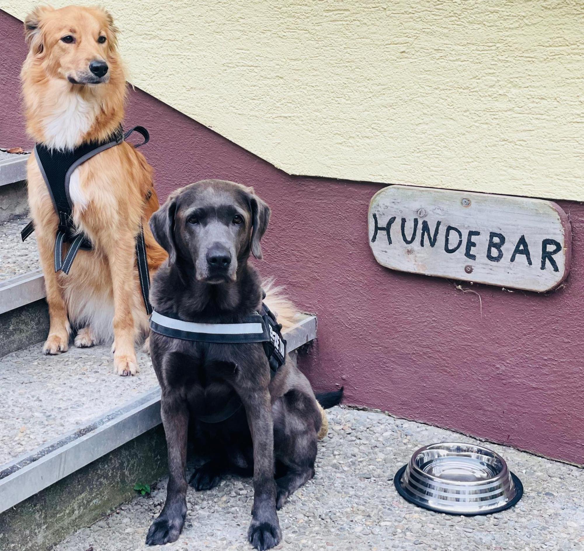 Hotel Waldesruh Mühltal Esterno foto